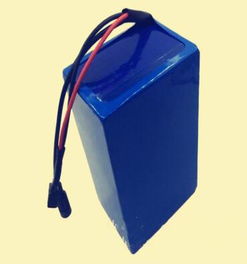 電動(dòng)車鋰電池36v 12ah 兩輪電動(dòng)車電瓶,電動(dòng)車鋰電池36v 12ah 兩輪電動(dòng)車電瓶生產(chǎn)廠家,電動(dòng)車鋰電池36v 12ah 兩輪電動(dòng)車電瓶?jī)r(jià)格